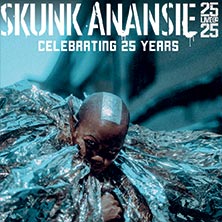 concerto di Skunk Anansie del 2022-06-30