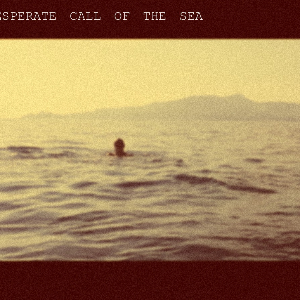 the desperate call of the sea: 