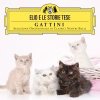 album Gattini - Elio e le Storie Tese