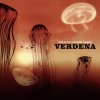 album Solo un grande sasso - Verdena