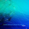 album Brighter - Shelly Johnson Broke My Heart