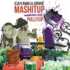 album MASHITUP - Cayam & Lorrè album : PULLITUP - MASHITUP (CAYAM & LORRE' )