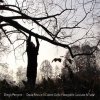 album Dove finisce il colore delle fotografie lasciate al sole - Diego Perrone