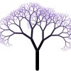 album vol.24 - balmorra - magico tree