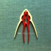 album Bene. - Carmine Torchia