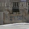 album Operetta su 'sta storia ita ammale - Iva Collister