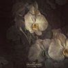 album The Disappearing One - The Disappearing One