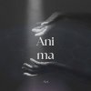 Anima.net