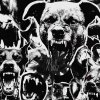 DOGS