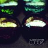 album Lucida Extended - Giuliano Dottori