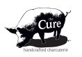 the cure logo (1)