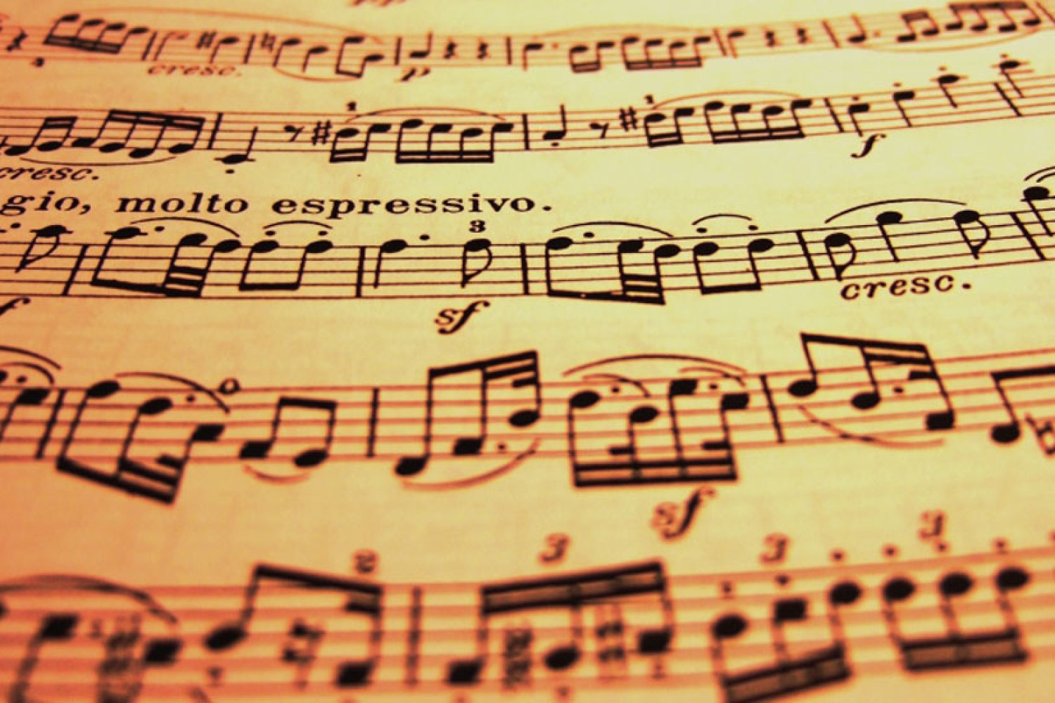 Piano dei trasporti pubblici per il periodo natalizio