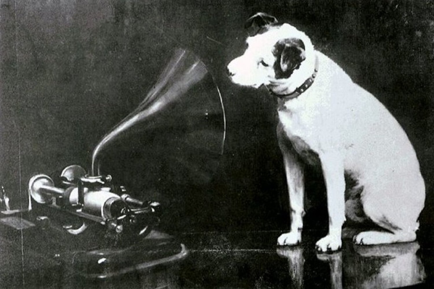 La storia del logo di His Master's Voice, il cagnolino col grammofono ...