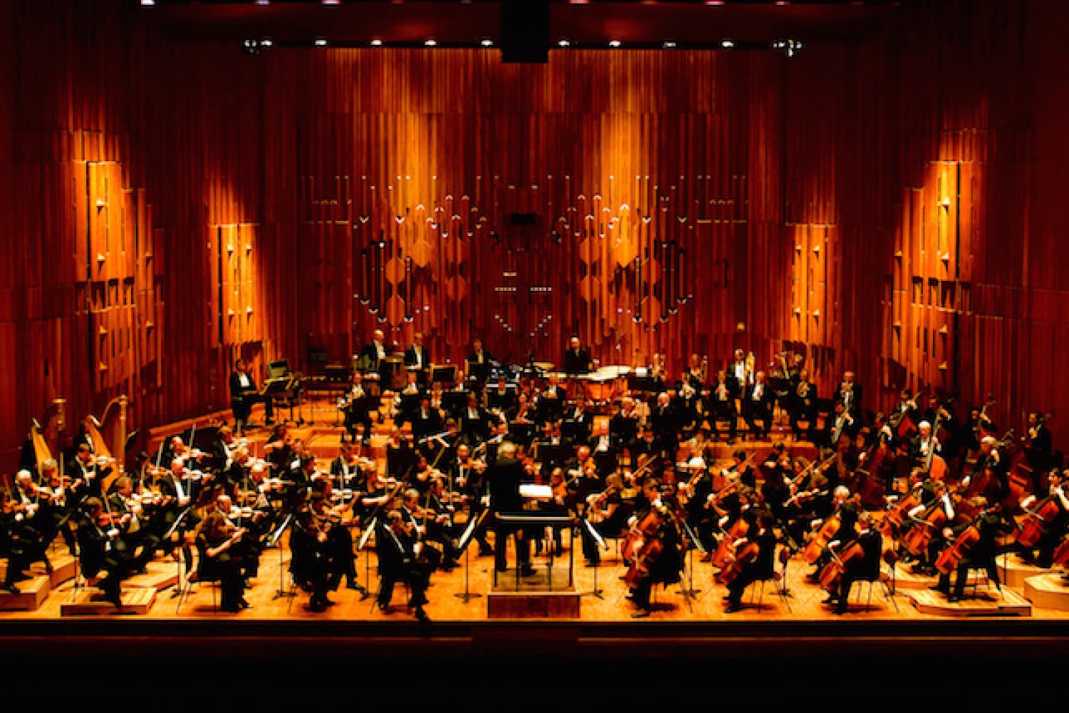 La disposizione di un'orchestra sul palco dipende dal funzionamento del nostro cervello