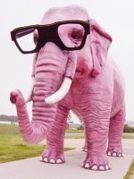 Elefante Rosa con Grandi Occhiali