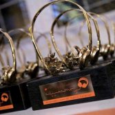 Negli Italian Radio Awards non esiste una categoria musicale