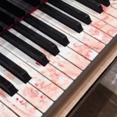 Blood on the piano