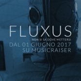 “Non si sa dove mettersi”, parte il progetto di crowdfunding per il nuovo album dei Fluxus