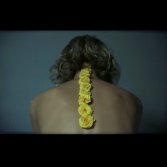 Video première:  “Come And Leave A Rose” di Fabrizio Cammarata