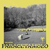 Calcutta "Paracetamolo" (TY1 Remix)