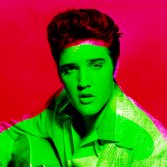 Elvis colorato