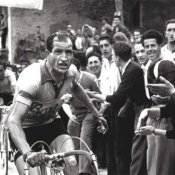 canzonette, Bartali, di Paolo Conte
