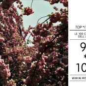 top 2011, foto immagine