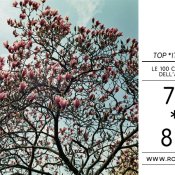 top 2011, Foto di Sha Ribeiro