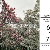 top 2011, Foto di Sha Ribeiro