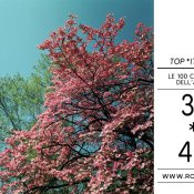 top 2011, foto immagine