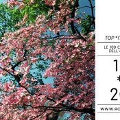 top 2011, foto immagine