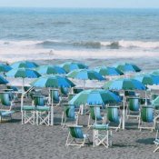 Bookit, foto immagine