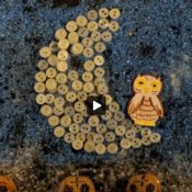 emilia romagna, Il documentario che presenta il laboratorio video finanziato dalla Tempesta