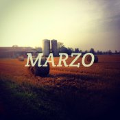 meglio 2013, Correva il mese di marzo: Fast Animals and Slow Kids, Appino, Ennio Morricone, Salmo e la scomparsa di Enzo Jannacci e Franco Califano