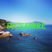 meglio 2013, Correva il mese di dicembre: Girl With The Gun, The Zen Circus, A Toys Orchestra e gli incassi di Spotify