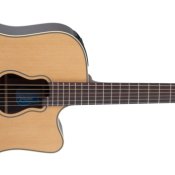 furto, Una chitarra takamine
