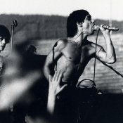 rock, Iggy Pop allo Stadio Franchi