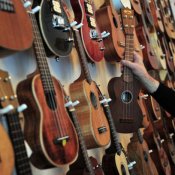politica, Negozio di strumenti musicali