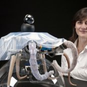 scienza, foto immagine
