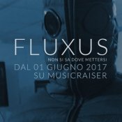crowdfunding, fluxus1.jpg