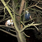 nuovo album, foto immagine
