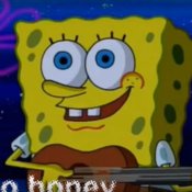 video, sponge1.jpg