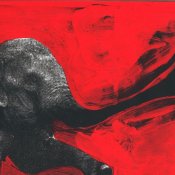 arte, C'mon Tigre Elephant RMX (dettaglio copertina)