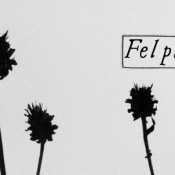 tour, Felpa Tregua