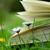 rubrica, blur-book-book-pages.jpg