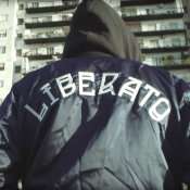 opinioni, liberato-timeline.jpg