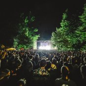 mi ami, La collinetta in fiore, foto di Claudio Caprai.