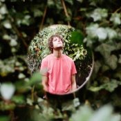 Con un disco per vivere tra gli alberi: Francesco Camin racconta Palindromi Con un disco per vivere tra gli alberi: Francesco Camin racconta Palindromi