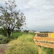 programma, Foto via L'ora Vesuviana