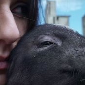 nuovo singolo, Un'immagine del video di Porco Mondo dei Lapingra